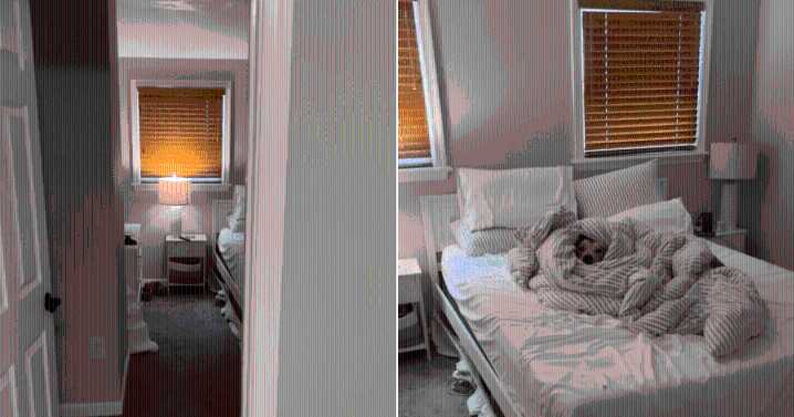 Man Makes the Bed, Comes Back to Find Surprise Under Blankets