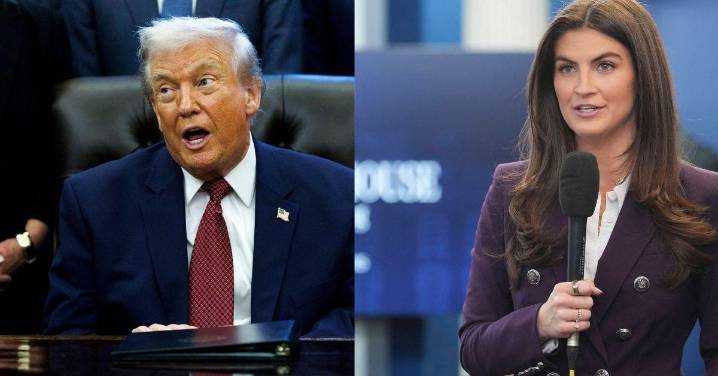 Kaitlan Collins Has 6-Word Response to Donald Trump’s 'Nasty' Truth Social Tirade