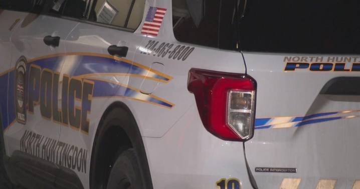 Pittsburgh-area couple accused of bringing children with them to drug deal