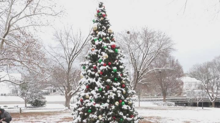 There's a packed day of Louisville Christmas celebrations coming up