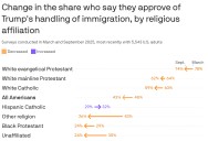 Poll: Most Americans favor birthright citizenship, not Trump's immigration plan