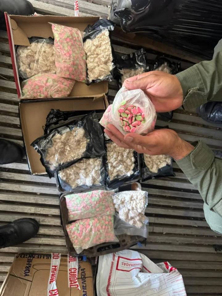 Gendarmería desbarató organización narcocriminal en Misiones, Caba y el Conurbano