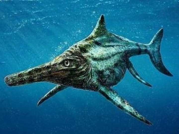 Dragón de la Espada de Dorset: el hallazgo de una extraña especie de 190 millones de años que asombra a la ciencia