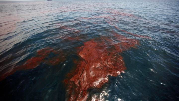 Every Florida Congress member to Trump: Keep oil drilling away from our coast