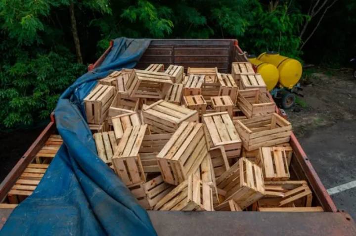 Golpe al narcotráfico en la Ruta 16: Gendarmería secuestró casi 1.200 kilos de marihuana