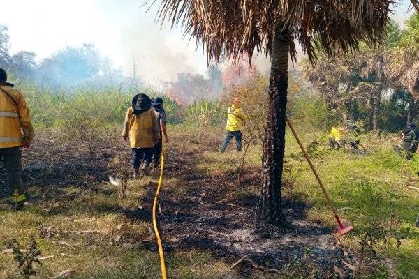 Nivel alto: Corrientes bajo alerta por posibles incendios debido al extremo calor