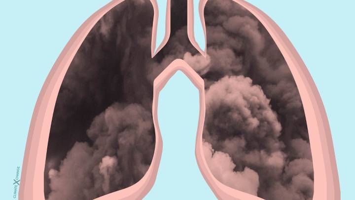 Delhi's evening commute delivers the year's worst lung damage, new study finds
