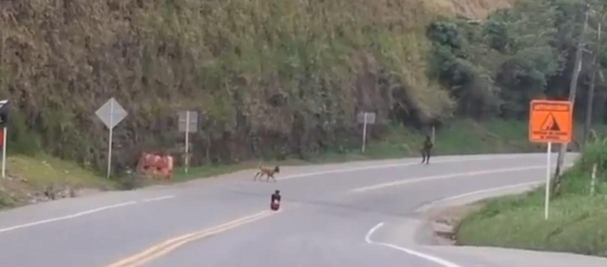 Ejército neutralizó tres artefactos explosivos del ELN en Norte de Santander y Cauca