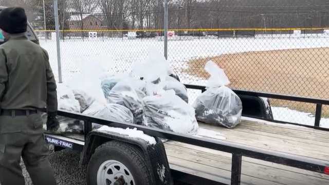 Dead vultures removed from Ohio school grounds; bird flu suspected