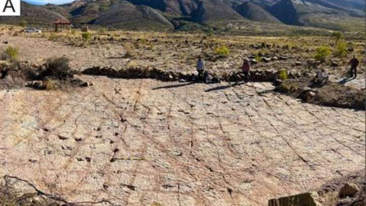 Dinosaur superhighway discovered in ancient Bolivian shoreline