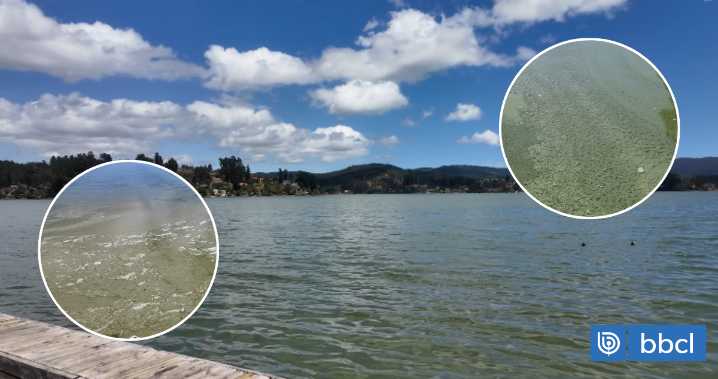 Lago Vichuquén contaminado: reportes de mal olor y solo $2.6 millones del municipio para medioambiente