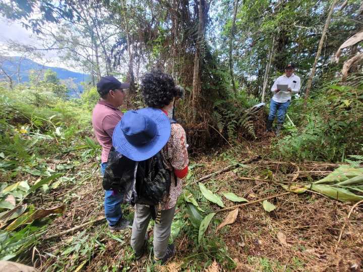 URT Bogotá restituyó 70 hectáreas a campesino víctima de abandono forzado en Chámeza