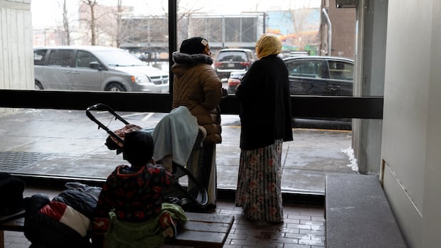 Trump targets Minnesota’s Somali community amid reports of targeted crackdown