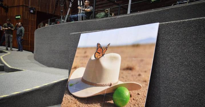 Los Erre: ¿Dónde opera y quién lidera la célula del CJNG ligada al asesinato de Carlos Manzo?