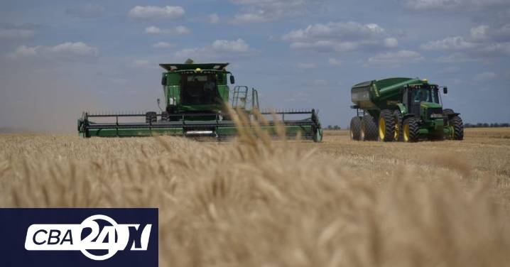 Córdoba apunta a su mejor campaña: trigo provincial proyecta 6,2 millones de toneladas, según la Bolsa de Cereales