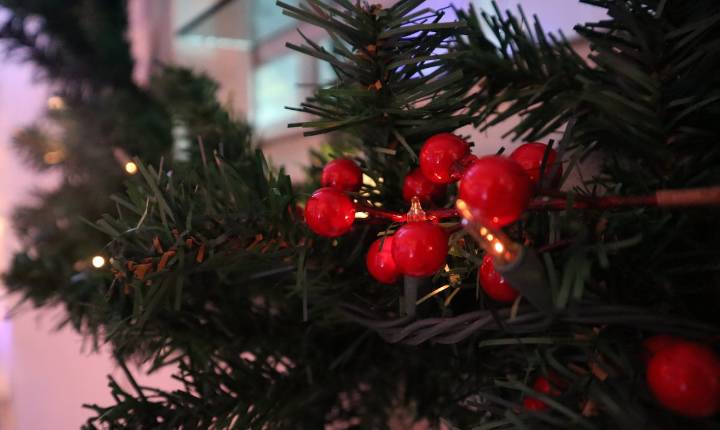 ¿Por qué algunas personas se niegan a montar el árbol de Navidad y no celebrar las festividades?