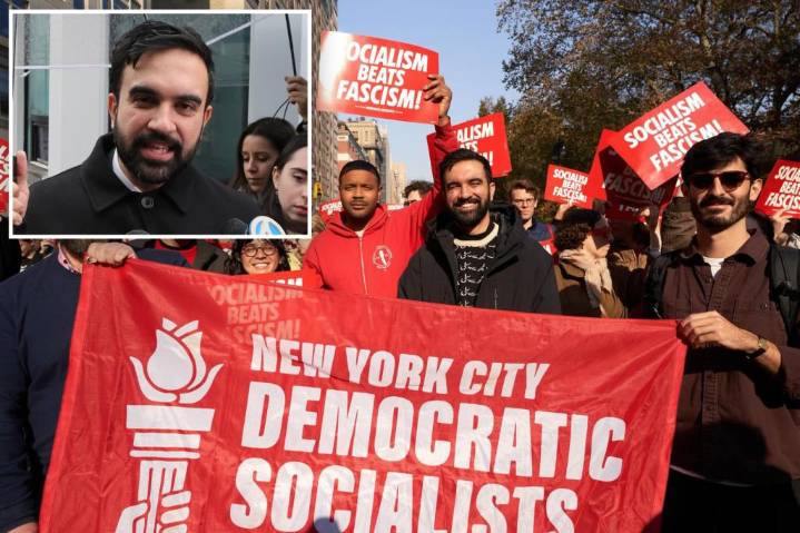 DSA calls to infiltrate NYC government through community boards, PTAs -