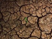 Sequías prolongadas en zonas tropicales generan impacto crítico en la agricultura y el acceso al agua