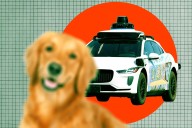 Children Sob as Waymo Runs Over Dog
