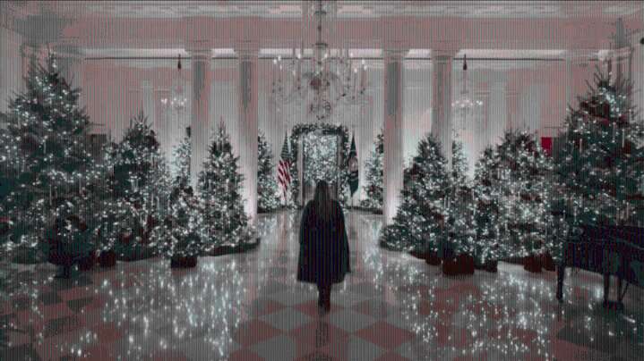 Bakersfield woman helps decorate the White House for Christmas