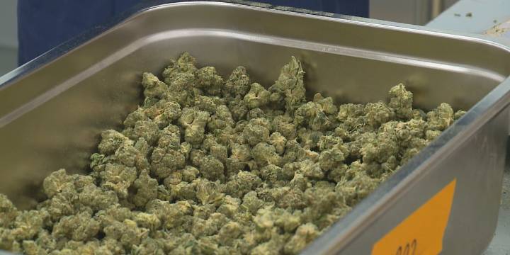 Ohio set to reform marijuana rules