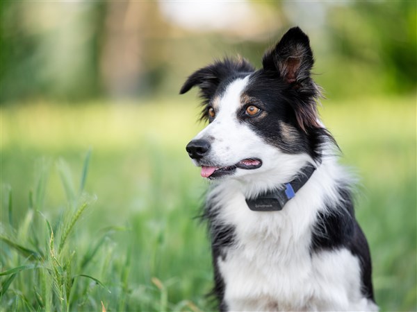 8 innovative gifts you didn't know you needed