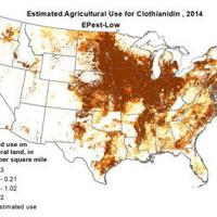 Researchers Question Widespread Use of Neonic Seed Treatments