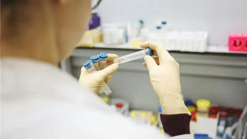 Influenza A H3N2: regiones refuerzan protocolos ante alerta por nueva variante variante K