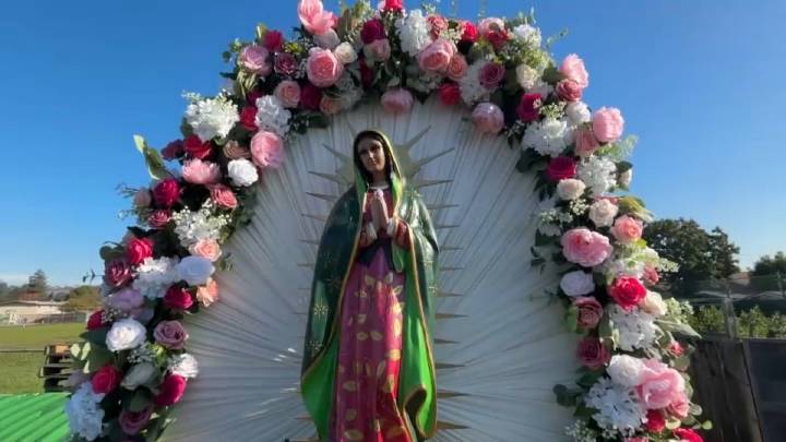 Miles se unen en la caminata guadalupana de Oakland – Telemundo Area de la Bahía 48