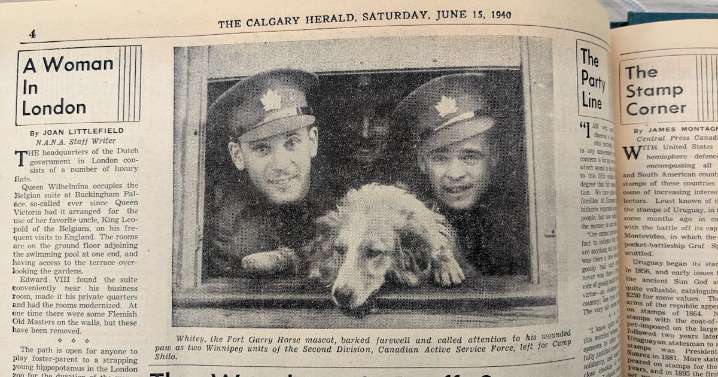 Saskatchewan author shares story of Whitey the Dog