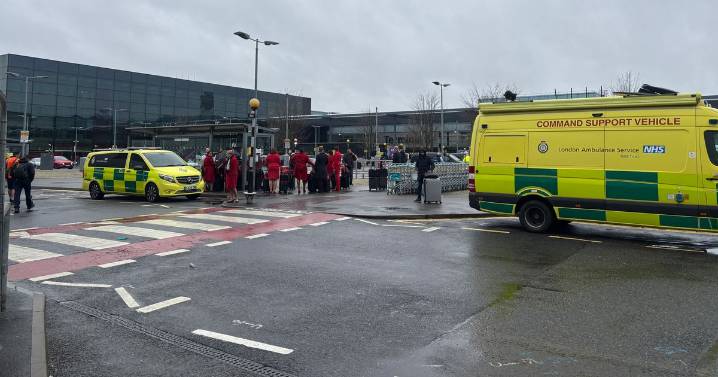 Heathrow Airport 'pepper spay attack' update on victims as police make further arrests