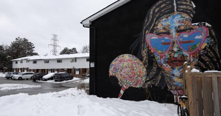 Townhouses plagued by cockroaches, leaks, mould and rats