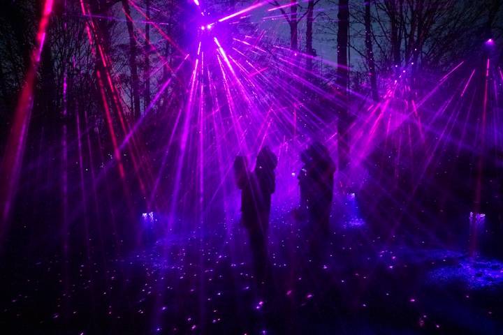 PHOTOS: A celestial night walk in West Seattle