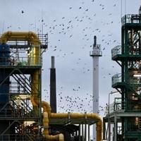 German growth forecasts slashed, Merz under pressure