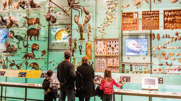 How to plan the ultimate family trip to New York