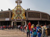 La Profeco inicia mañana Operativo Basílica 2025