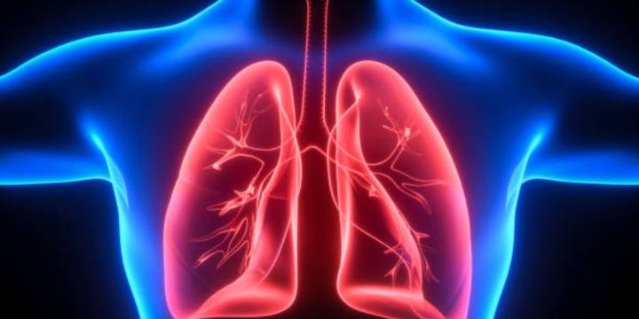 Cuáles son los estudios o pruebas necesarias para diagnosticar la EPOC a tiempo