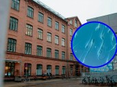 Europa bajo alerta: donante con mutación cancerígena engendró casi 200 niños