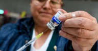 Salud descarta “supergripe” en México: no hay casos de variante K de influenza AH3N2