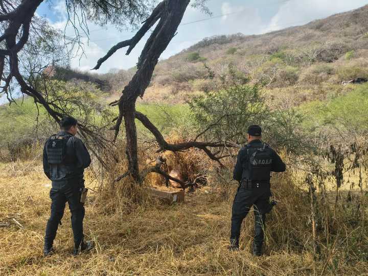 Aparecen 9 armas que Comisaría de Techaluta entregó por supuesto engaño