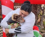 In ‘Christmas miracle,’ missing dog is found 5 years later, 2,300 miles away