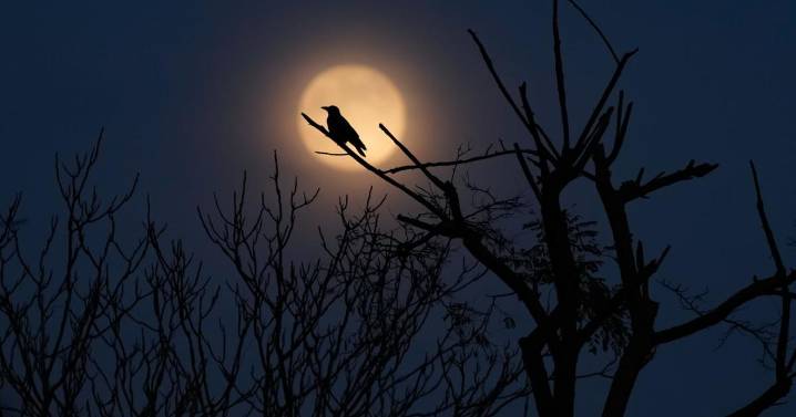 Photos show the last supermoon of the year shining in December skies