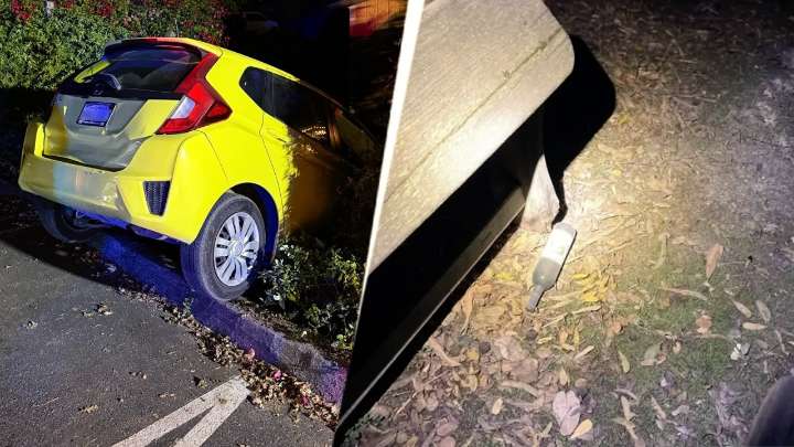 Indian-American entrepreneur tries to burn down winery, crashes Tesla into cars