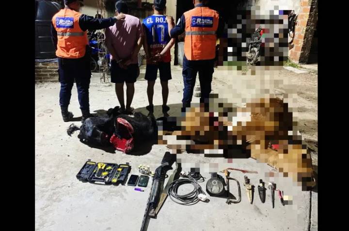 Caen presos dos sujetos que transportaban animales faenados y un arma