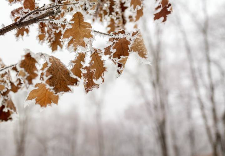 Indianápolis se prepara para otra ola de nieve y más fría