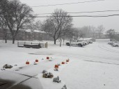 First snowstorm of the season: How much did the Capital Region get on Tuesday?