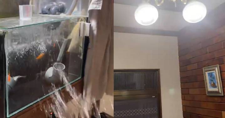 Videos captaron el potente terremoto de 7,6 que sacudió a Japón