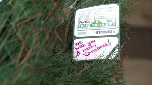 'Trees for Troops' 2025 delivers more than 600 Christmas trees to Fort Bragg: 'Super awesome"