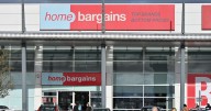 Home Bargains brings back £20 'grass' decorations for Christmas