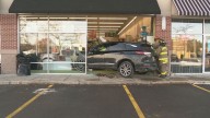 Vehicle crashes into East Amherst pet store